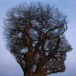 Mind-Body Awareness, an Added Value of Pilates The Pilates method goes beyond the development of a strong body. It's a fitness system for the mind as well. While the brain is not composed of muscle tissue, it acts a lot like a muscle in that it requires exercise-without activity and consistent challenges, the mind can fall out of shape. A flabby mind can't focus, flounders in everyday problem solving and is more susceptible to the negative effects of stress. It's interesting to note that Joseph Pilates' earliest writings on his fitness system at first focused only on physical control, but as his system (which he called "contrology") took shape, the mind came to have a key role in Joe's vision of complete health. He ultimately invented a method that works to unite the body, mind and spirit in a coordinated whole, strengthening all three aspects of the self. The mind in particular is exercised as one applies intense concentration to the precision and flow of energy through every movement of a workout, while deep, controlled breathing pumps oxygen-rich blood to the muscles and the brain. Each principle of Pilates reinforces connections between the workings of the brain and the workings of the body, generating an overall increase in mind-body awareness.Many people appreciate Pilates for the muscle tone, mobility and weight loss it offers, but increased mind-body awareness is another highly desirable effect. A study in the 2012 Journal of Dance Education interviewed a group of 63 Pilates students, and their responses indicate the value of mind-body awareness in everyday life. Students reported that enhanced proprioception gave them a boost in confidence, improved their ability to manage stress, and enabled them to identify and enact positive change in their lives.Many people practice tai chi and yoga for similar mental benefits, and more serious or traditionalist practitioners incorporate the religious foundation of these disciplines into their fitness regimen. Pilates, though a distinctly Western system, may also deepen your sense of self and spirituality.  Pilates can be uniquely tailored to you and your individual life path; and in deepening your mindfulness, Pilates makes that journey more healthy, happy and whole. Ruth St. Denis, a pioneer of modern dance who worked with Joseph Pilates during her career, had this to say about the method: "Not only is the body rejuvenated, but the mental and spiritual refreshment is beyond calculation."